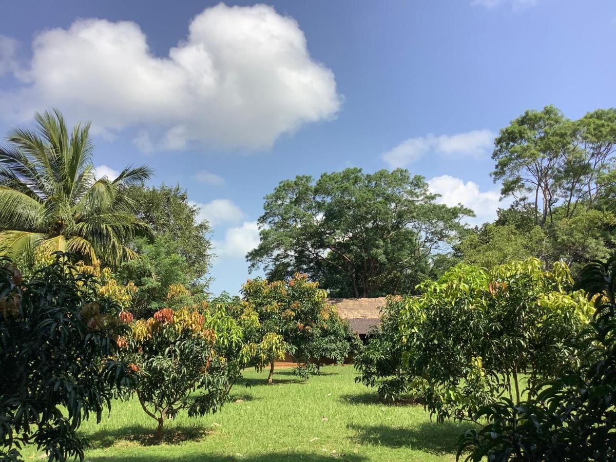Hotel Mind Body And Soul Dambulla Exterior foto