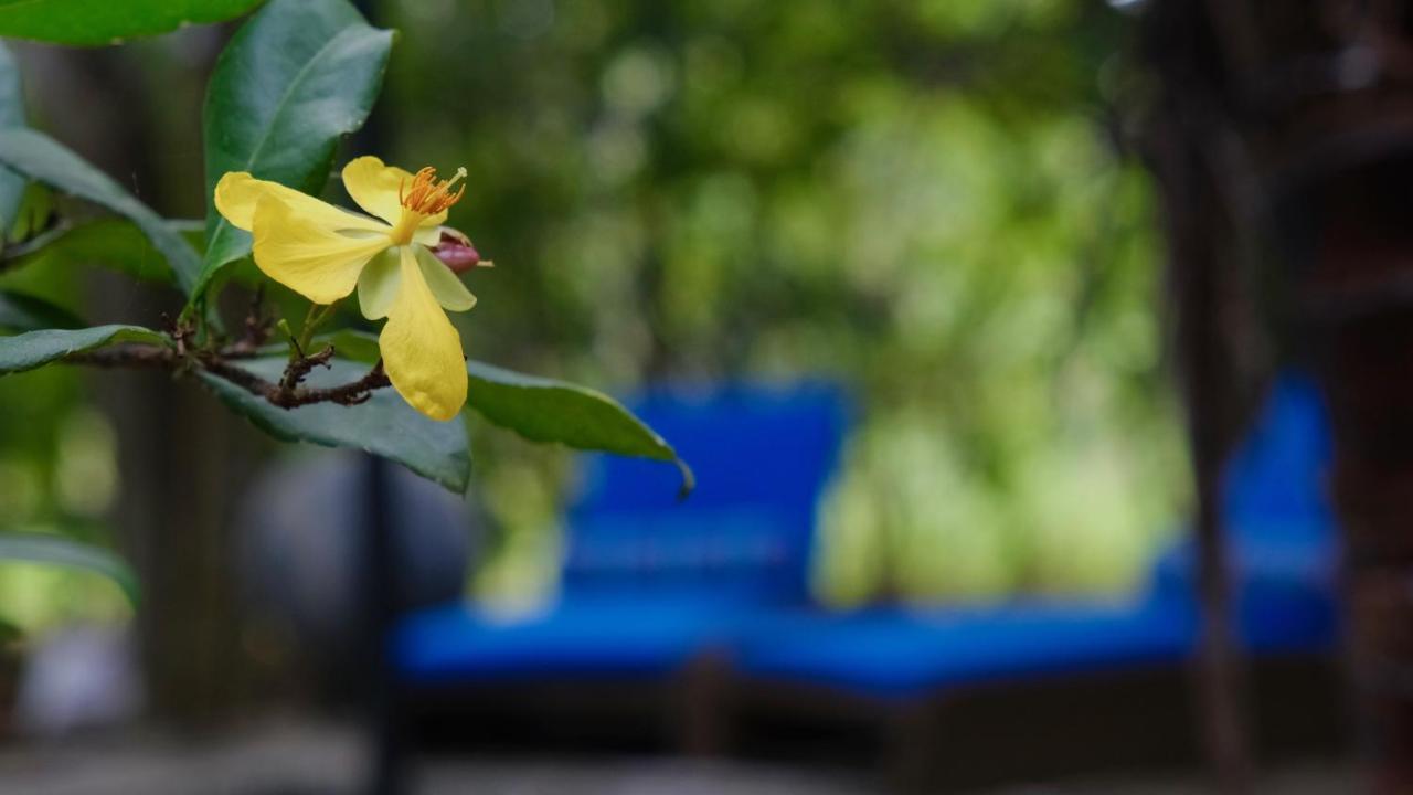 Hotel Mind Body And Soul Dambulla Exterior foto