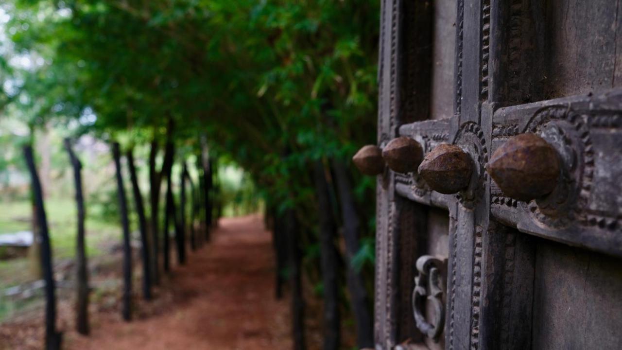 Hotel Mind Body And Soul Dambulla Exterior foto