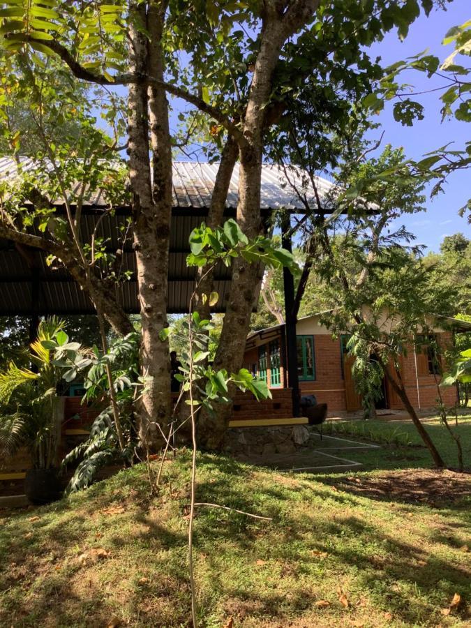 Hotel Mind Body And Soul Dambulla Exterior foto