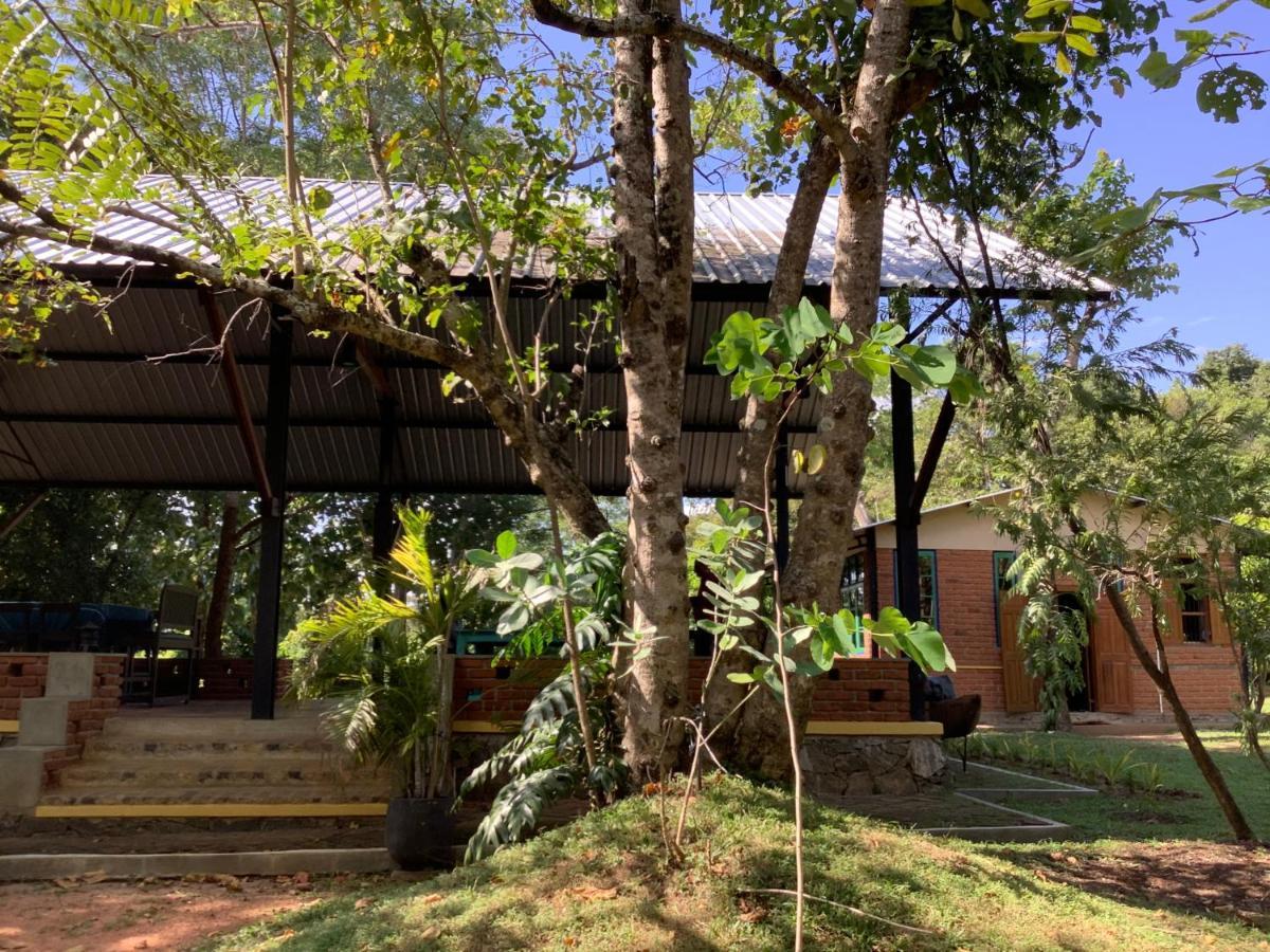 Hotel Mind Body And Soul Dambulla Exterior foto