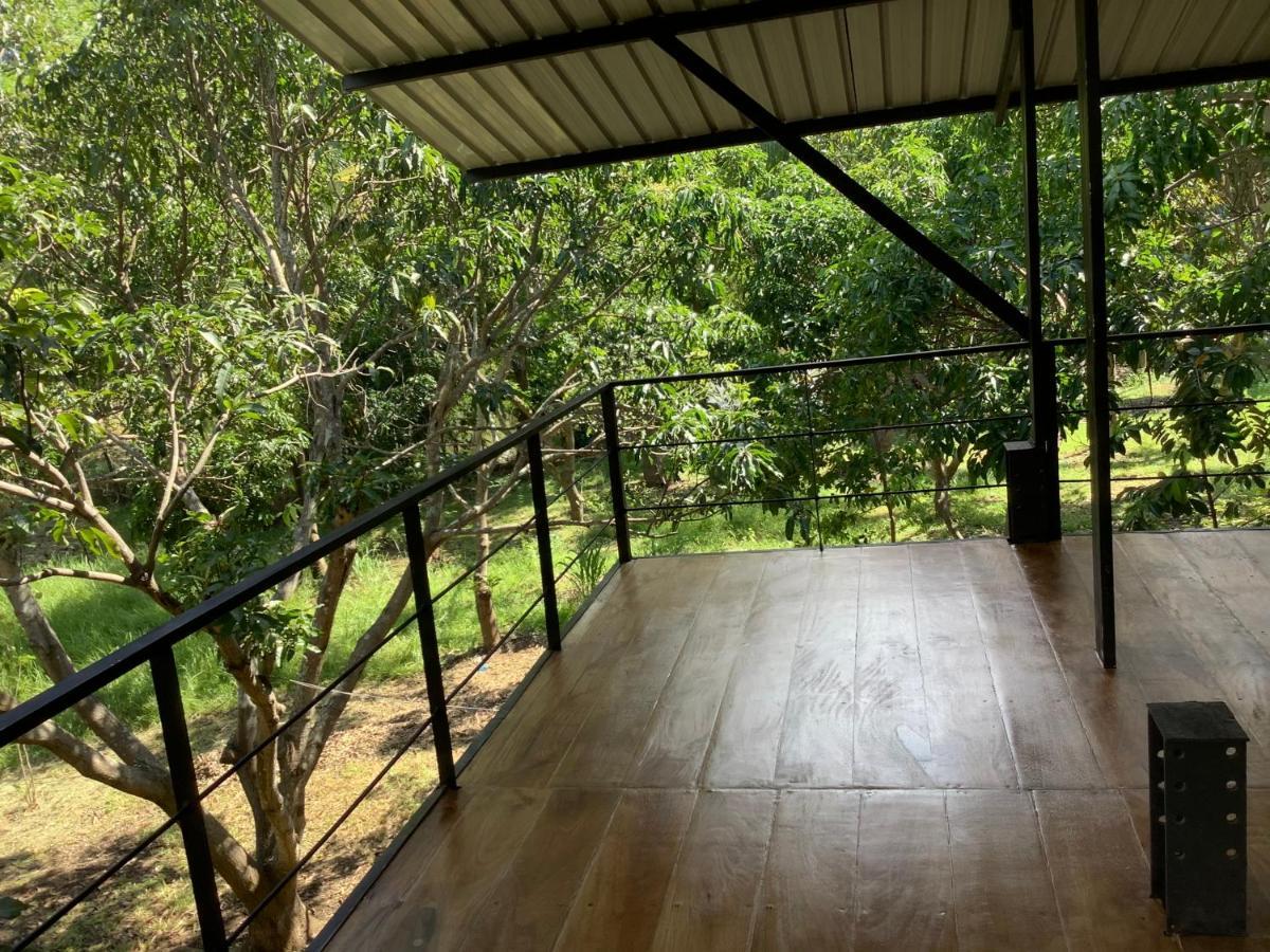 Hotel Mind Body And Soul Dambulla Exterior foto